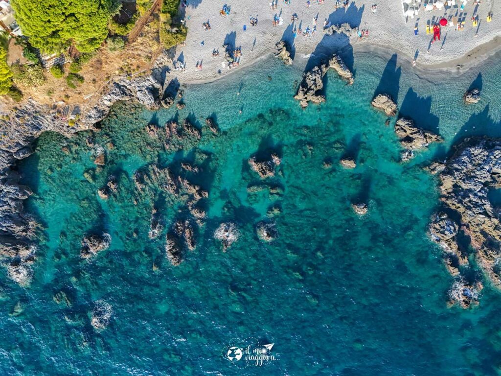 ajnella-scalea