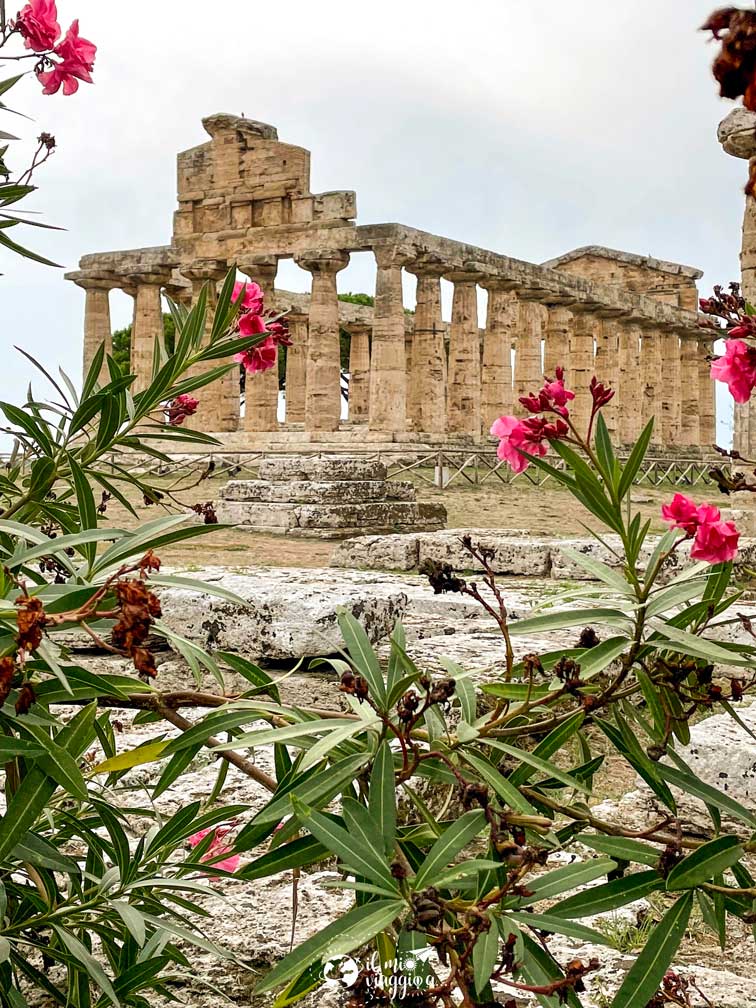 Templi-Paestum