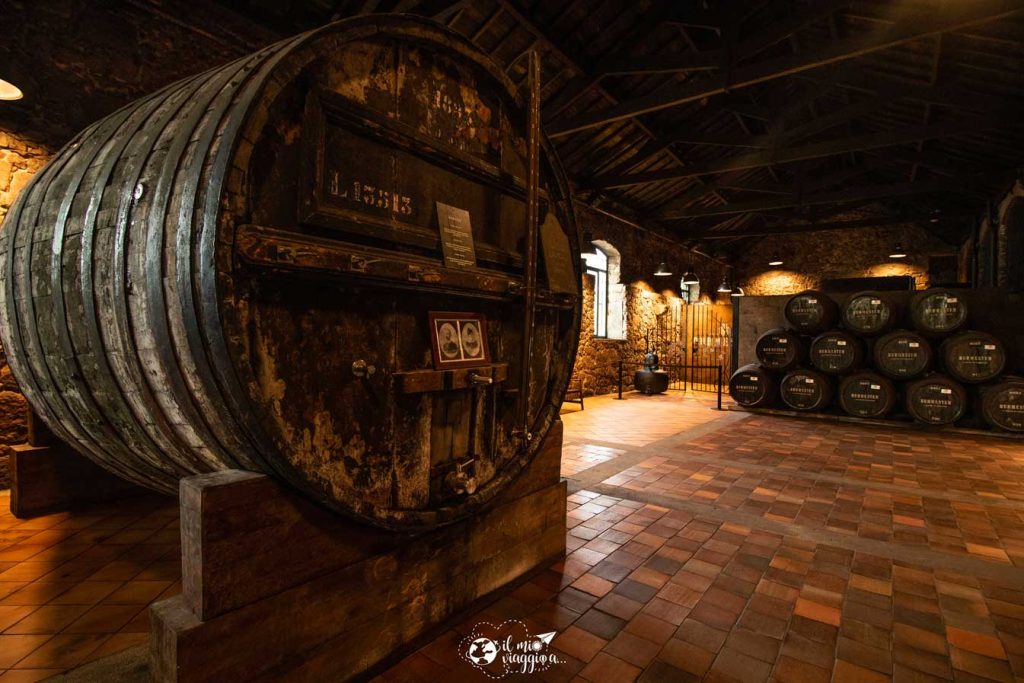 wine tour porto portugal
