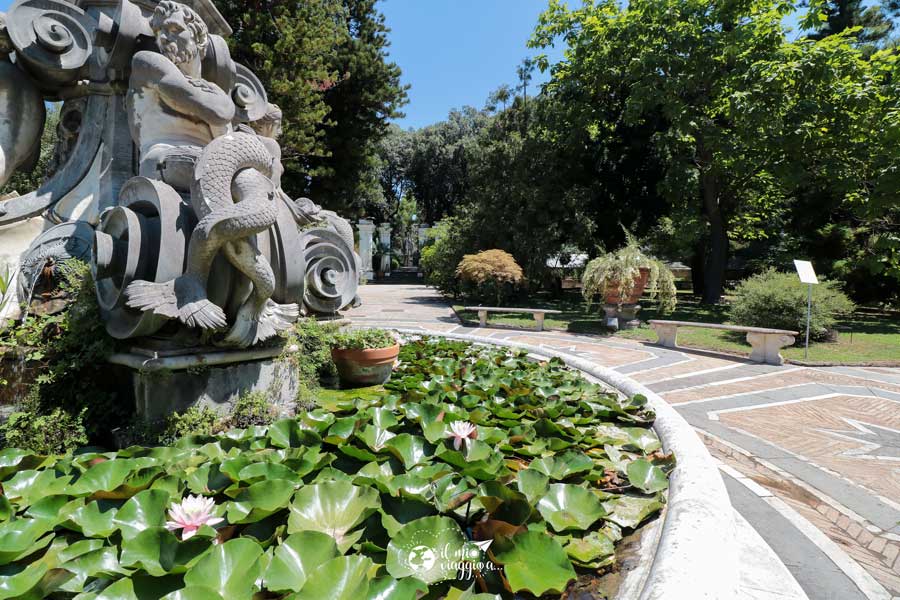 jardin botanico
