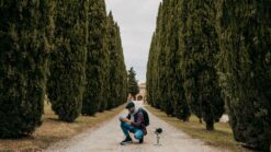 what to do in siena for a day