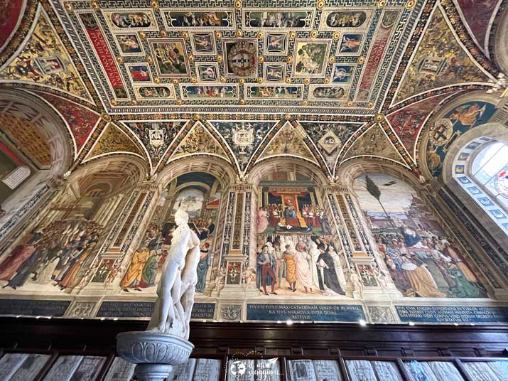 libreria-piccolomini